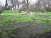 земельный участок в Челябинске Тракторосад2 (фото 2)
